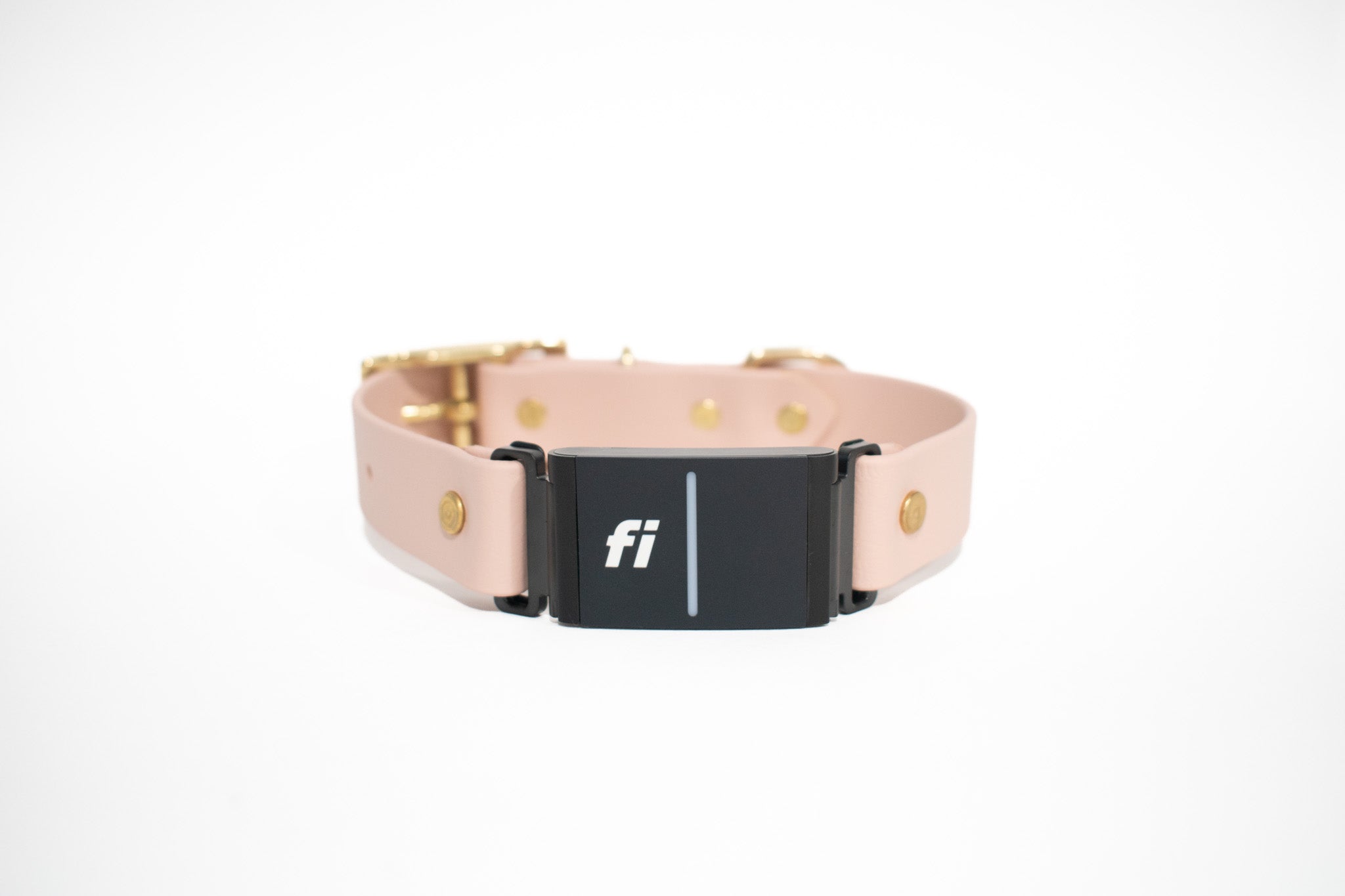 Fitbit collar best sale