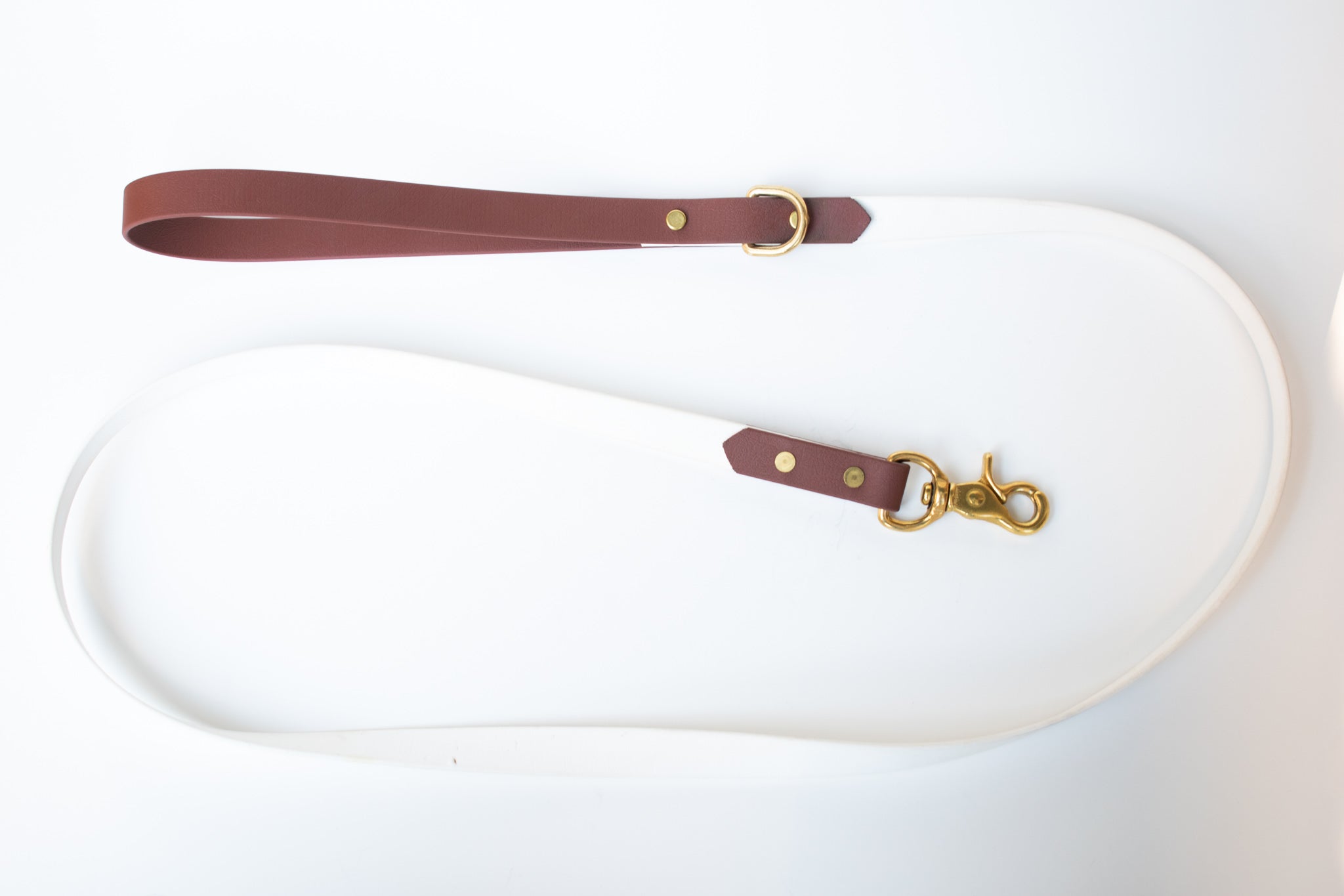 Two-Tone Biothane Leash