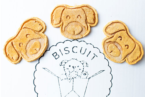 Biscuit Bentos Joins Our Treats Family