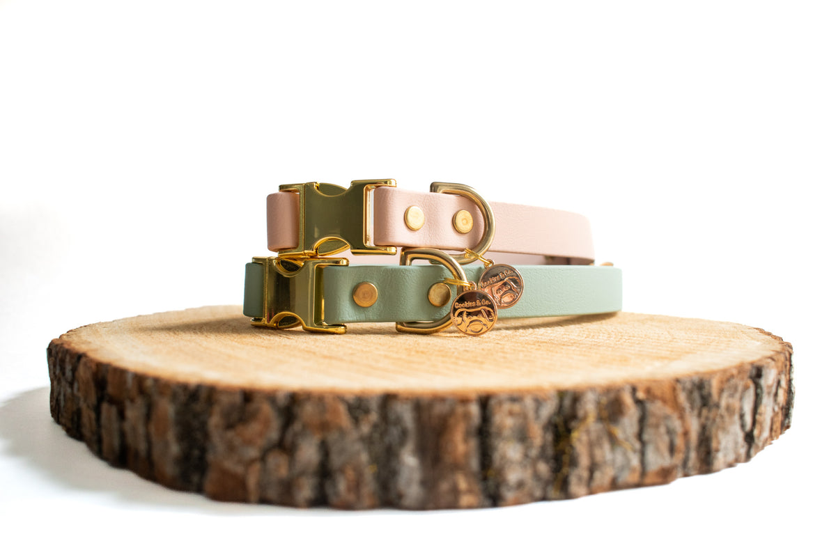 Content Collars Cookies & Co. | Waterproof Fi Compatible Collars