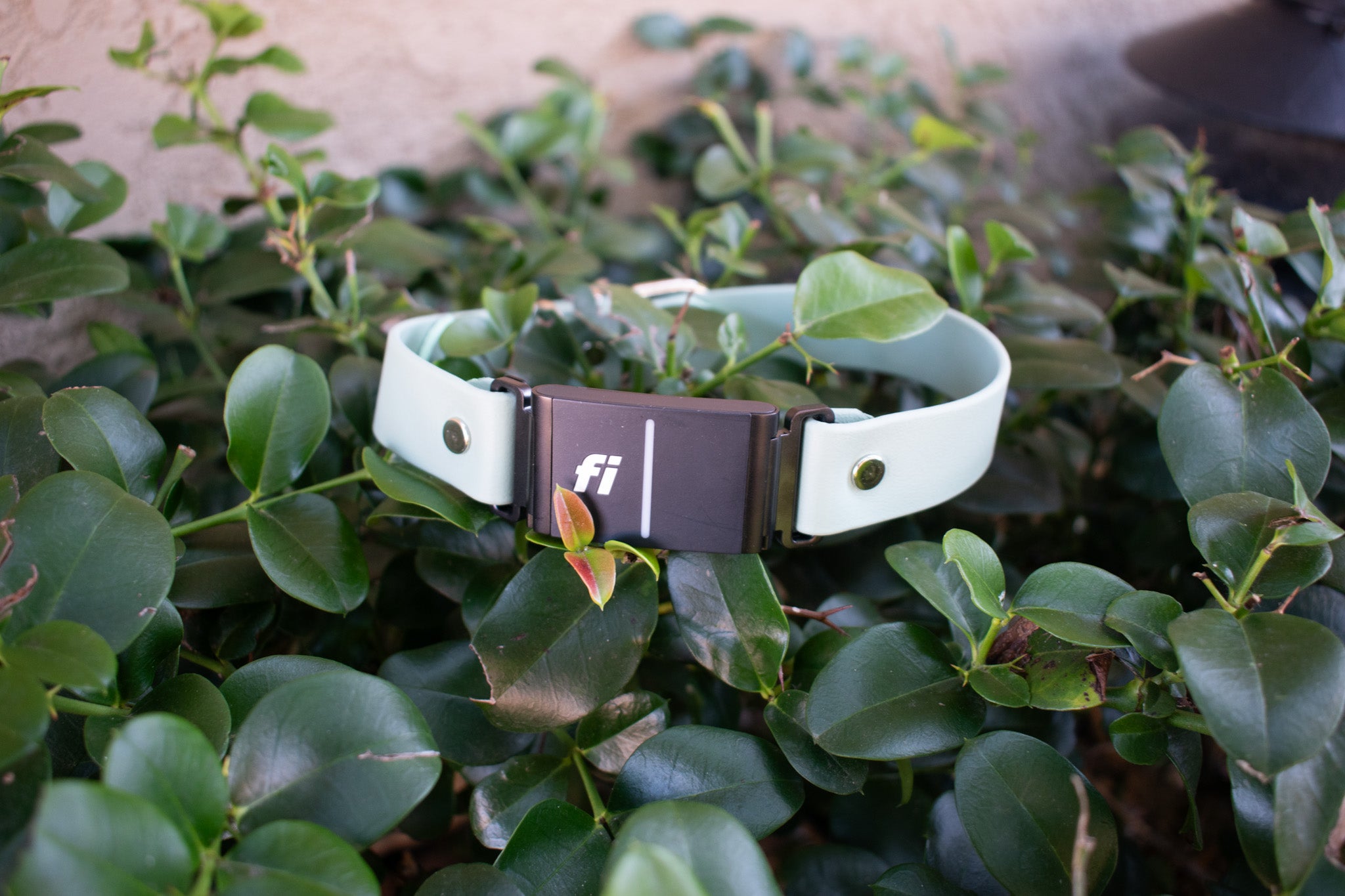 Certified Fi 3 Compatible GPS Dog Collars