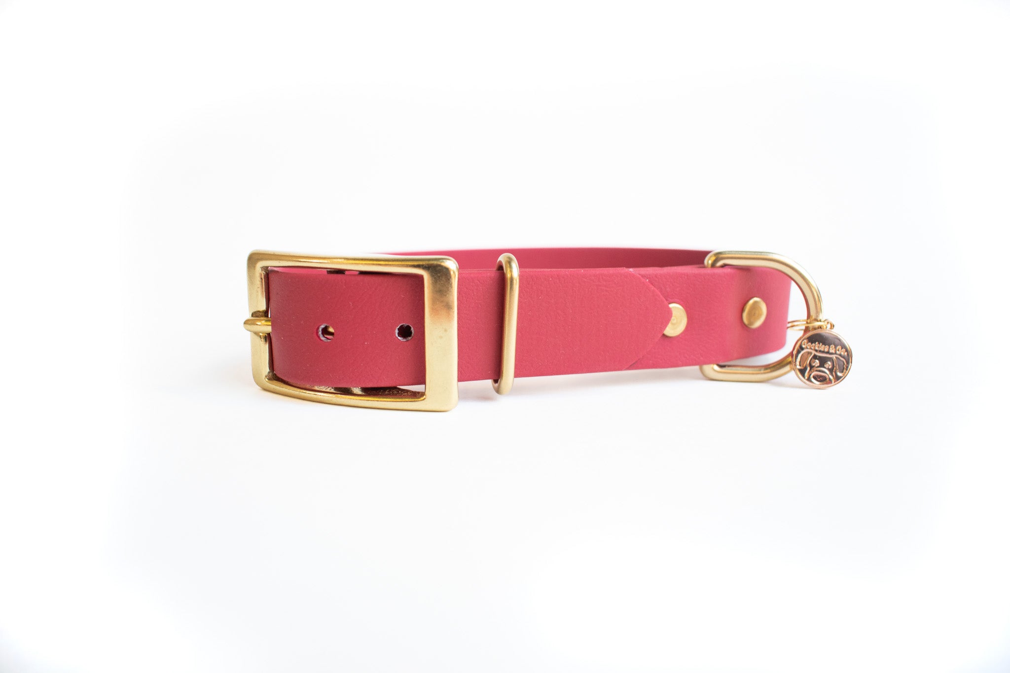 Red Classic Buckle Dog Collar