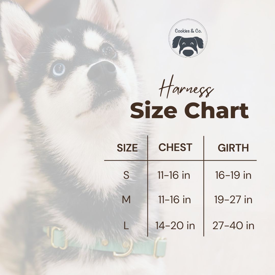 Cookies Quick Release No Pull Dog Harness – The Cookies