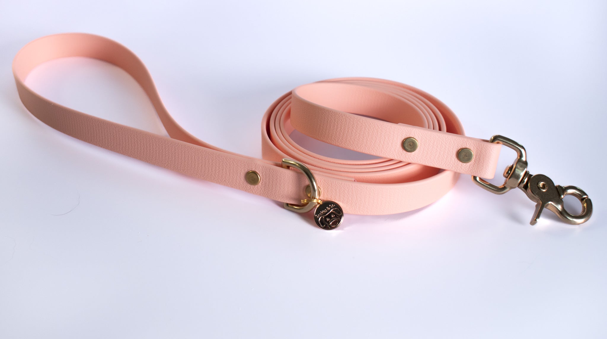 Limited Edition: Lychee Color - Classic Leash