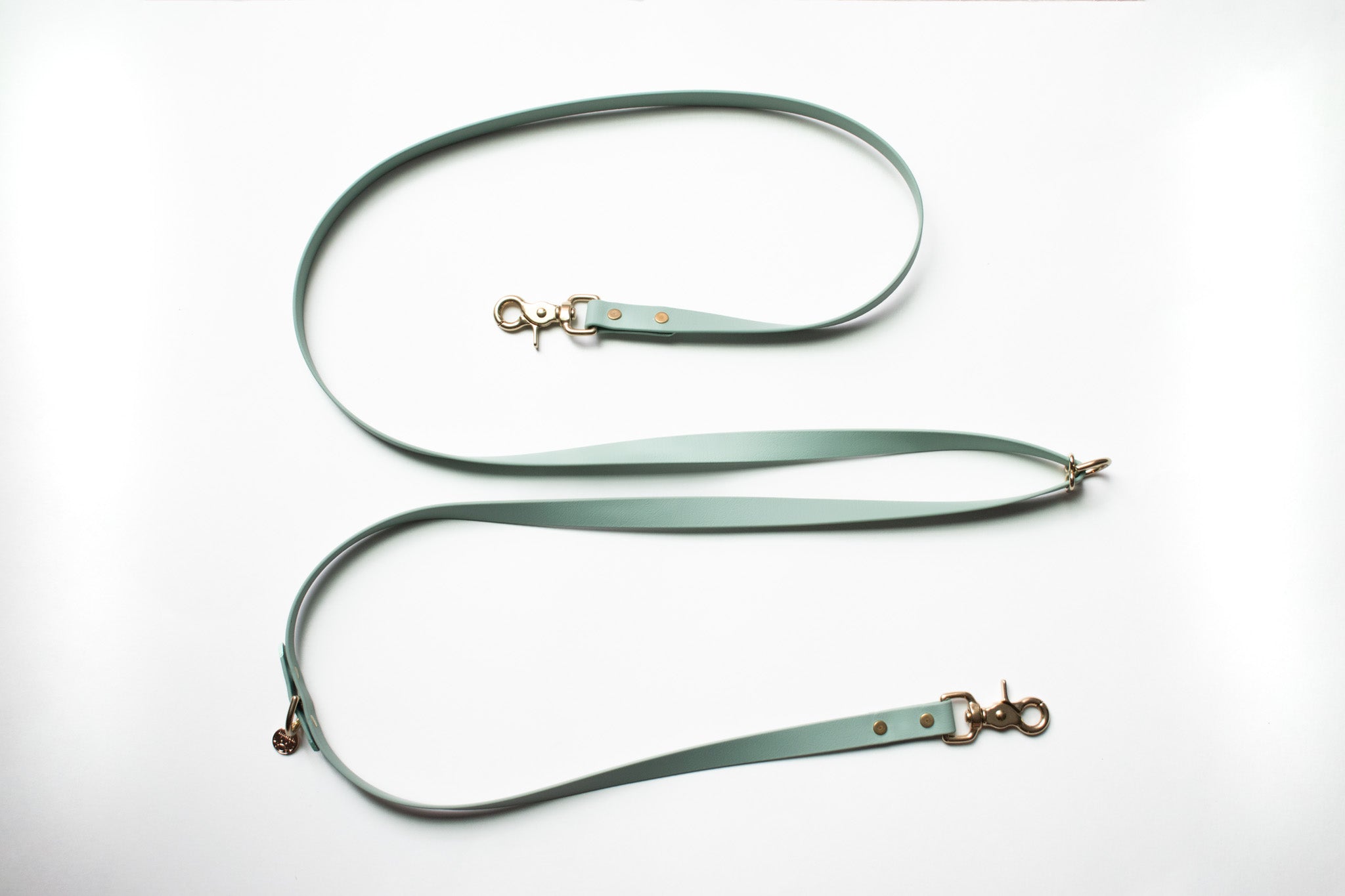 Cookies Hands-Free Dog Leash – The Cookies1