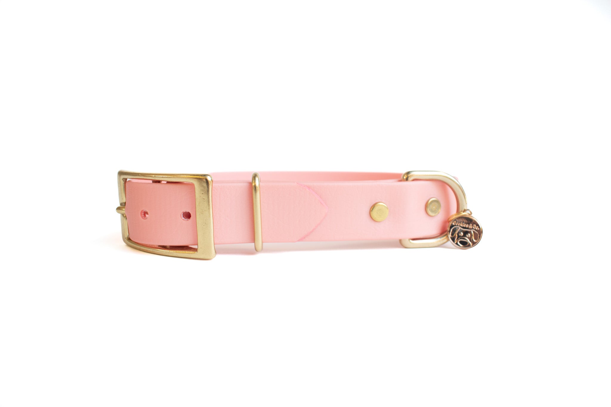 Limited Edition: Rosé -  Classic Collar