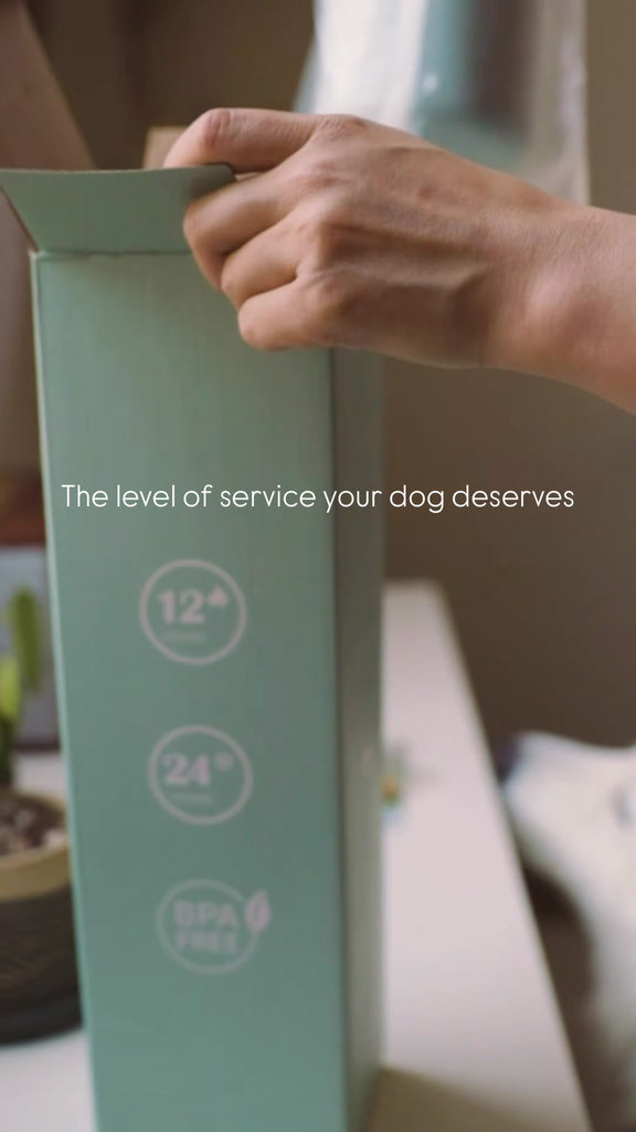 Insulated Stainless Steel Dog Water Bottles