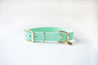 Mint Sea Foam Green Classic Dog Collar