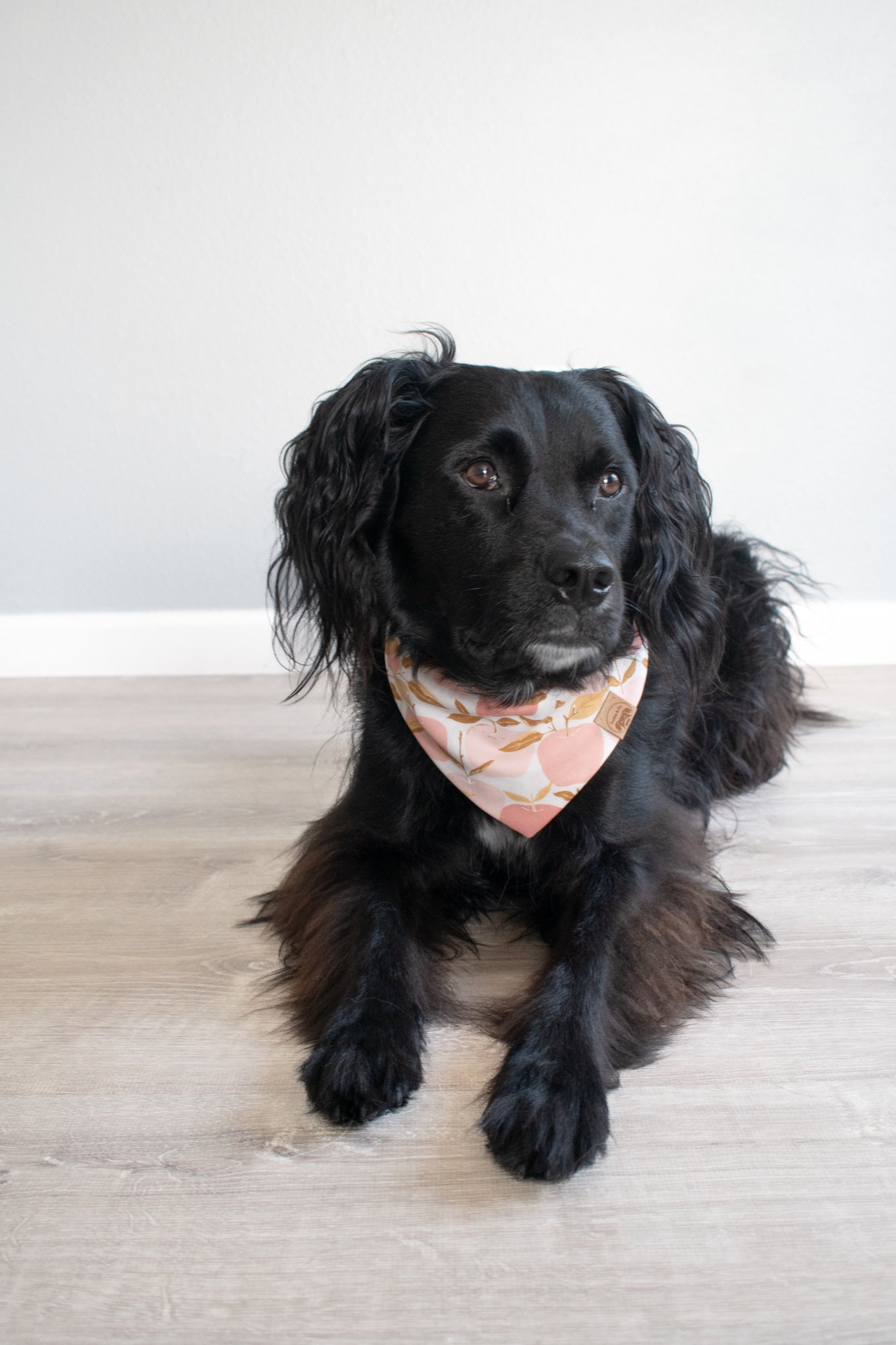 Apple of My Eye - Dog Bandana Tie-On with Snap Buttons