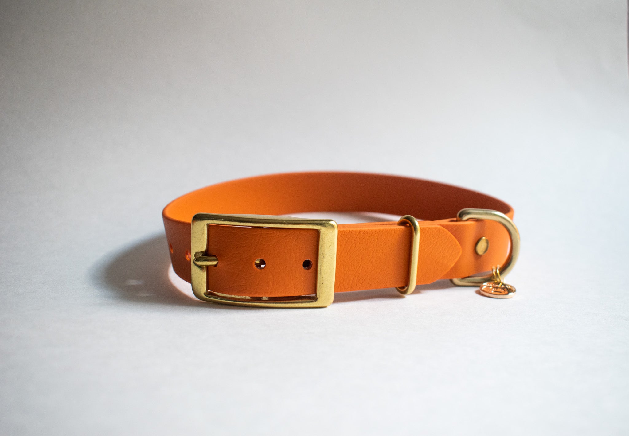 Limited Edition: Persimmon Color -  Classic Collar