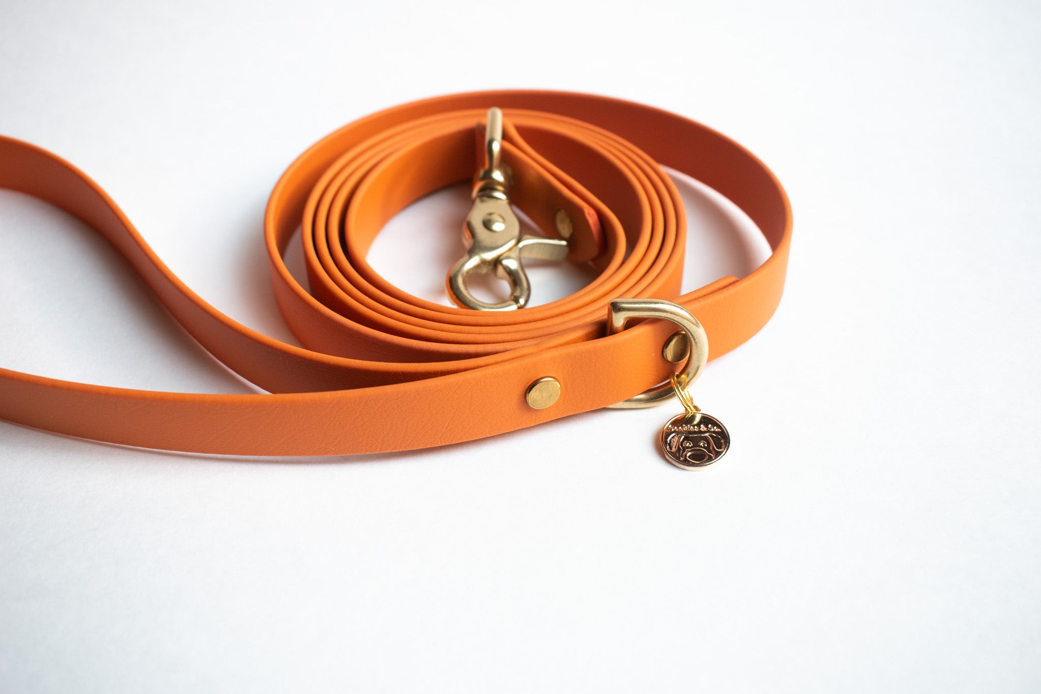 Limited Edition: Persimmon Color - Classic Leash