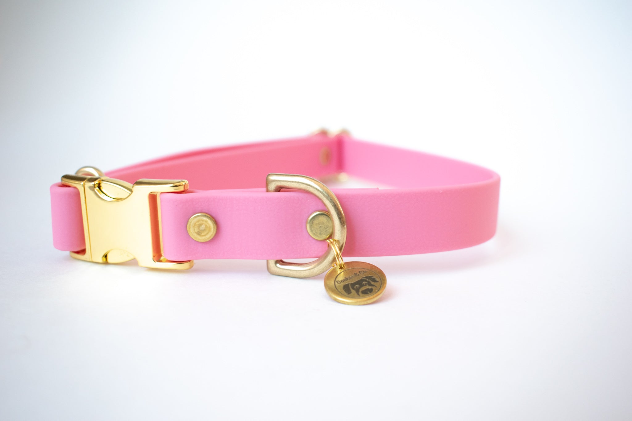 Limited Edition: Pitaya Color - Adjustable Quick Release Collar
