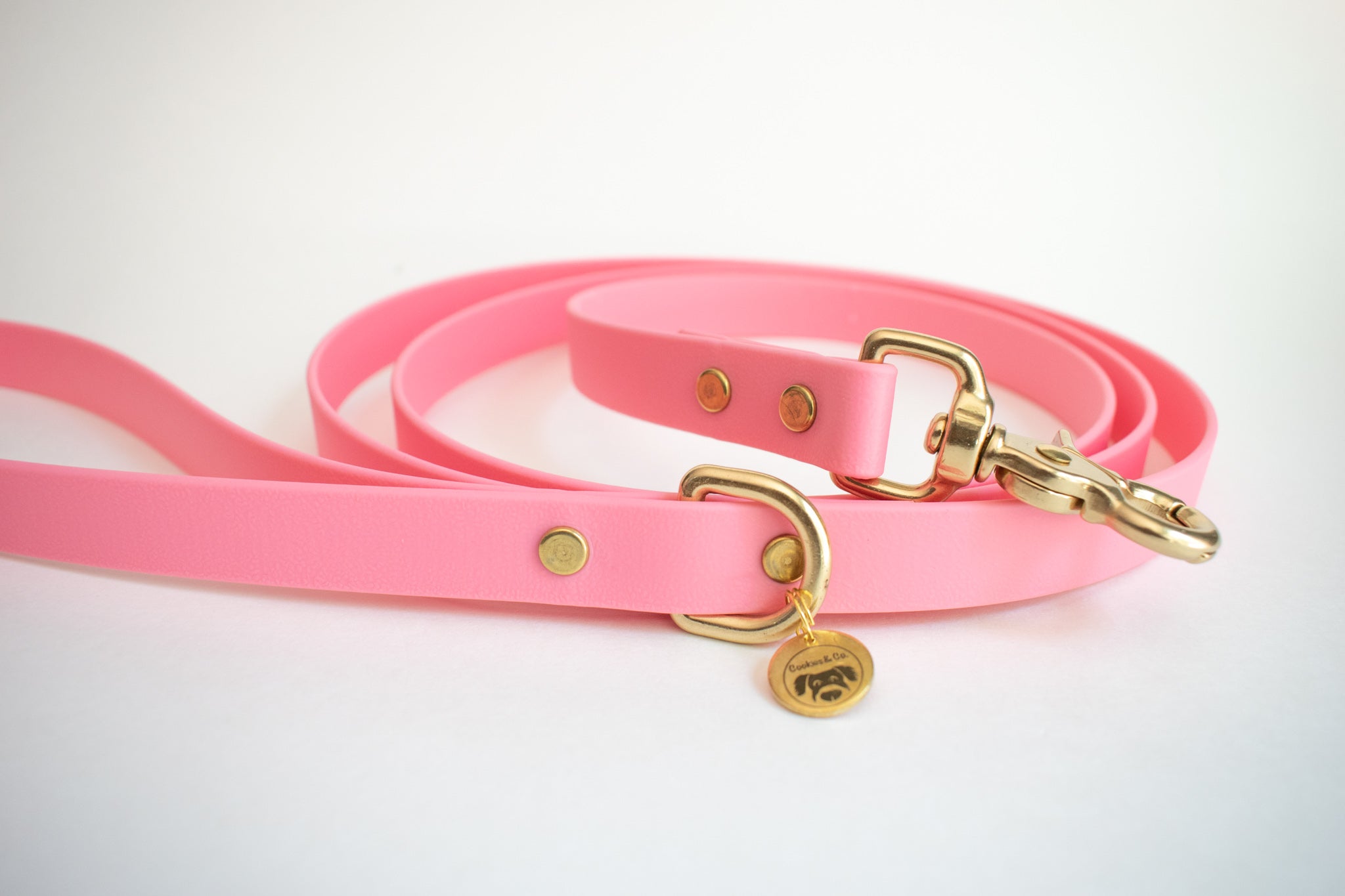 Limited Edition: Pitaya Color - Classic Leash