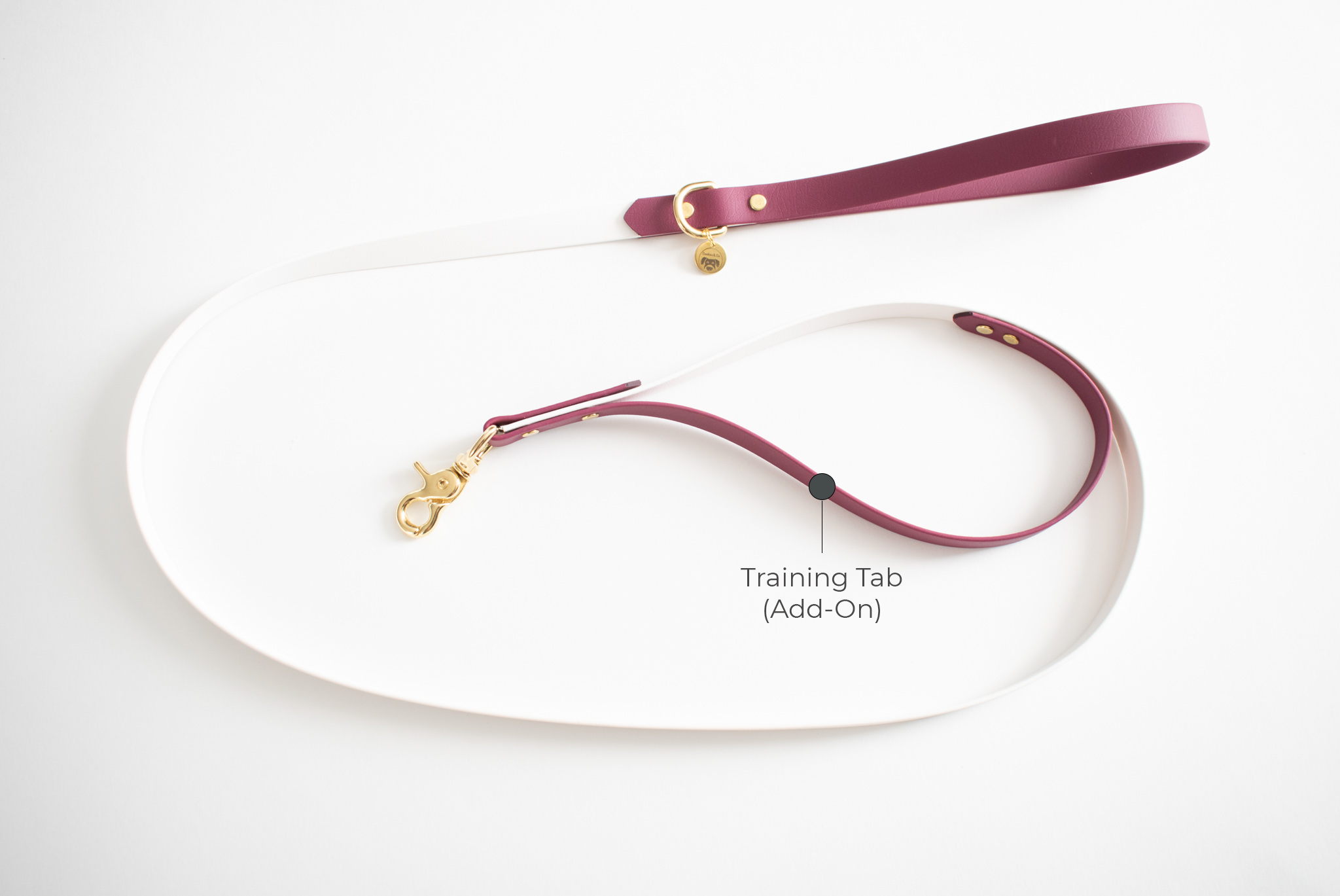 Limited Edition: Persimmon Color - Classic Leash