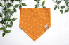 Pumpkin Patch bandana print, with light orange x's in different directions on a orange background